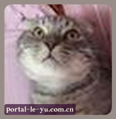 林悦